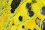 Very Vibrant, Free-Standing Polished Bumblebee Jasper #358625-1